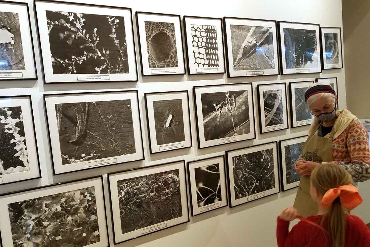 Masa Depan Edukasi Digital — AtlasScienceCenter.org & ALTOGEL Buka Arah Baru Pembelajaran